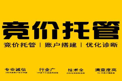 深度解析百度推广代运营公司的成功策略与技巧